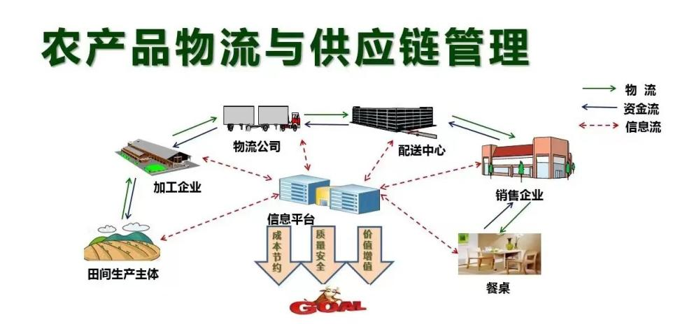 臨沂科技職業(yè)學(xué)院新專業(yè) 農(nóng)產(chǎn)品流通與管理（新媒體營銷方向）引領(lǐng)現(xiàn)代農(nóng)業(yè)市場新浪潮
